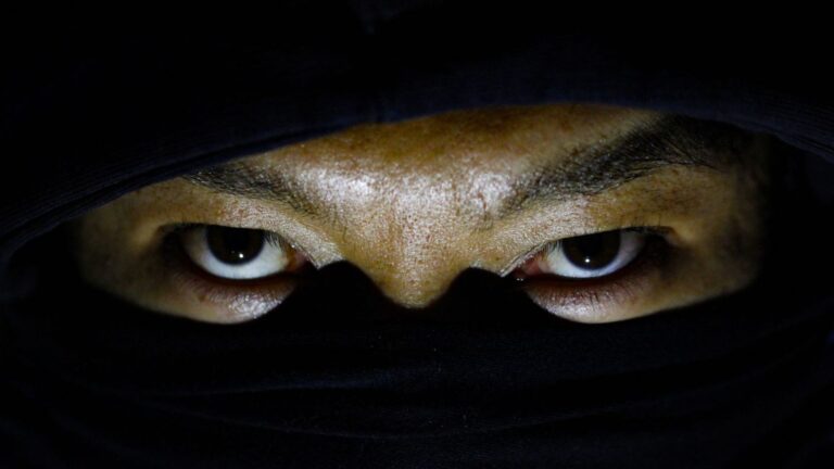 Hattori Hanzo: Ninja Legend