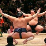 The Role of Sumo Wrestling in Japanese Culture The Role of Sumo Wrestling in Japanese Culture
