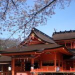 The Architecture of Kyoto A Blend of Ancient and Modern