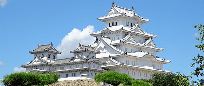 The Role of Castles in the Tokugawa Shogunate